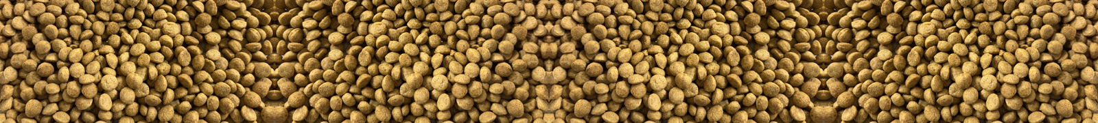 Image Header